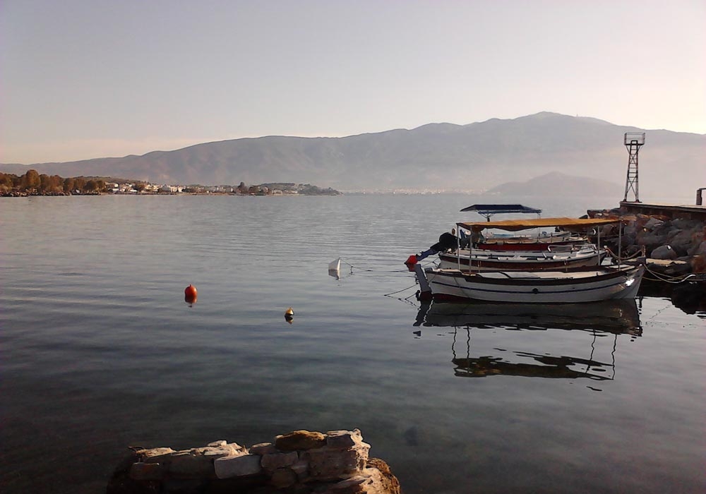 ΤΟΠΟΘΕΤΗΣΗ ΠΡΟΣΤΑΤΕΥΤΙΚΩΝ ΚΑΓΚΕΛΩΝ PROTEX ΣΤΙΣ ΑΛΥΚΕΣ ΒΟΛΟΥ