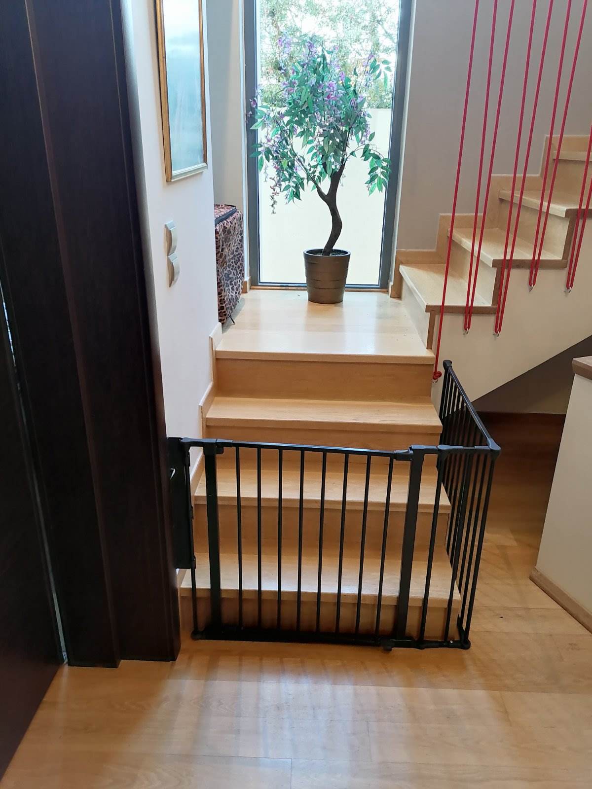 Πολυγωνικό πορτάκι ασφαλείας Protex