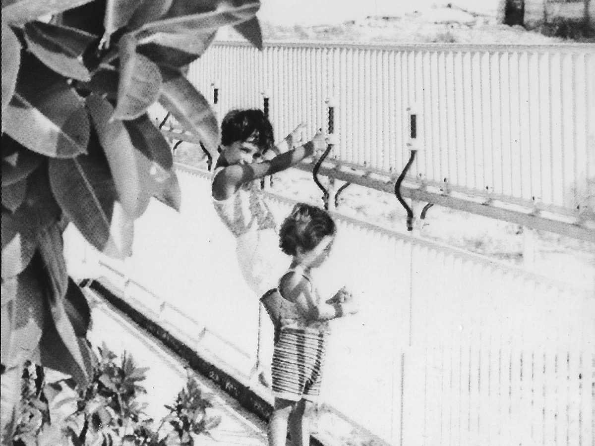 Protex Ιστορία